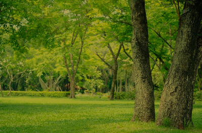Parco del Roero: natura, Rocche e itinerari in Piemonte