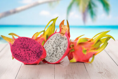 Pitaya Rossa - Pitaya Rossa