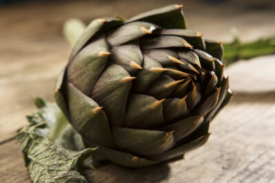 Carciofo Thema - Carciofo Thema