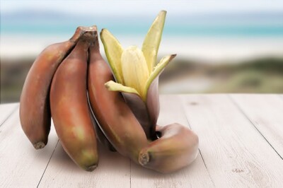 Banana Rossa - Banana rossa