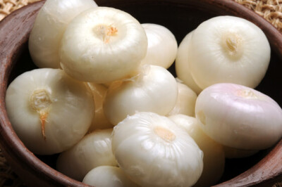 Cipolla bianca di Margherita - Cipolla bianca di Margherita