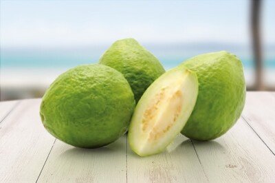 Guava - Guava