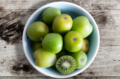 Kiwi Arguta Nergi - Kiwi-Arguta-Nergi