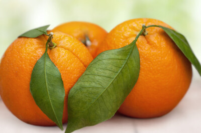 Arancia Valencia - Arancia Valencia