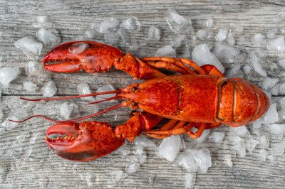 Astice - astice-scelte-per-te