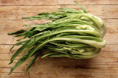 Cicoria Catalogna - Cicoria Catalogna