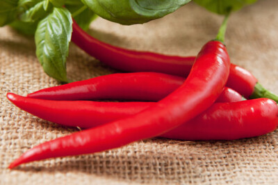 Peperoncino Calabrese - Peperoncino Calabrese