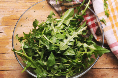 Cicoria Campagnola - Cicoria Campagnola