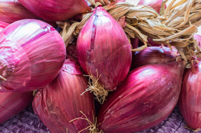 Cipolla di Tropea IGP - Cipolla di Tropea IGP