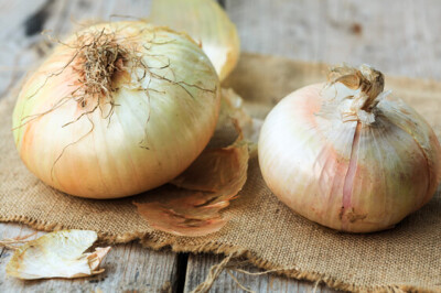 Cipolla Giarratana - Cipolla Giarratana