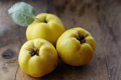 Mela Cotogna - Mela Cotogna