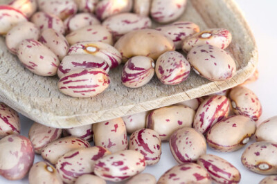 Fagioli Cuneo IGP - fagioli-cuneo