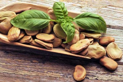 Fave Secche - fave secche