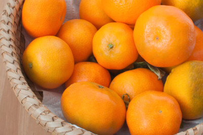 Clementina Hernandina - Clementina Hernandina