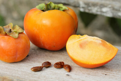 Kaki Persimon® - kaki-persimon