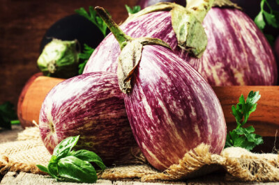 Melanzana striata viola - Melanzana striata viola