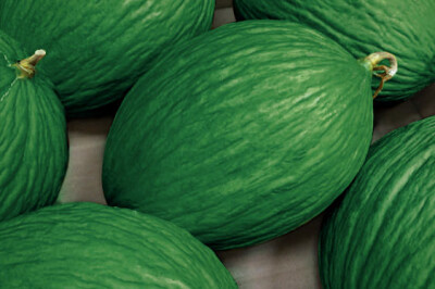 Melone Verde Invernale - Melone verde