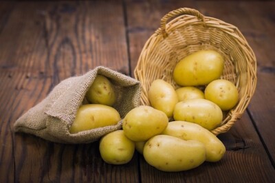 Patata Novella - Patata Novella