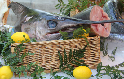 Pesce spada - pesce-spada