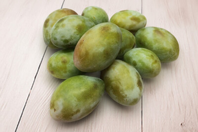 Prugna di Terranova De.C.O. - Prugna di Terranova De.C.O.