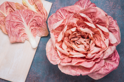 Radicchio rosa - radicchio-rosa