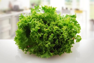 Insalata Riccia - Insalata Riccia