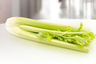 Sedano Bianco - Sedano Bianco