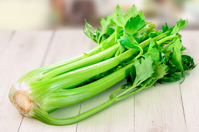 Sedano Verde - Sedano Verde