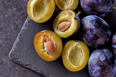 Susina President - Susina President