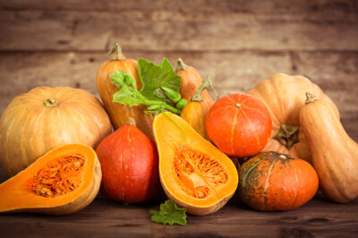 Zucca Generica - Zucca Generica